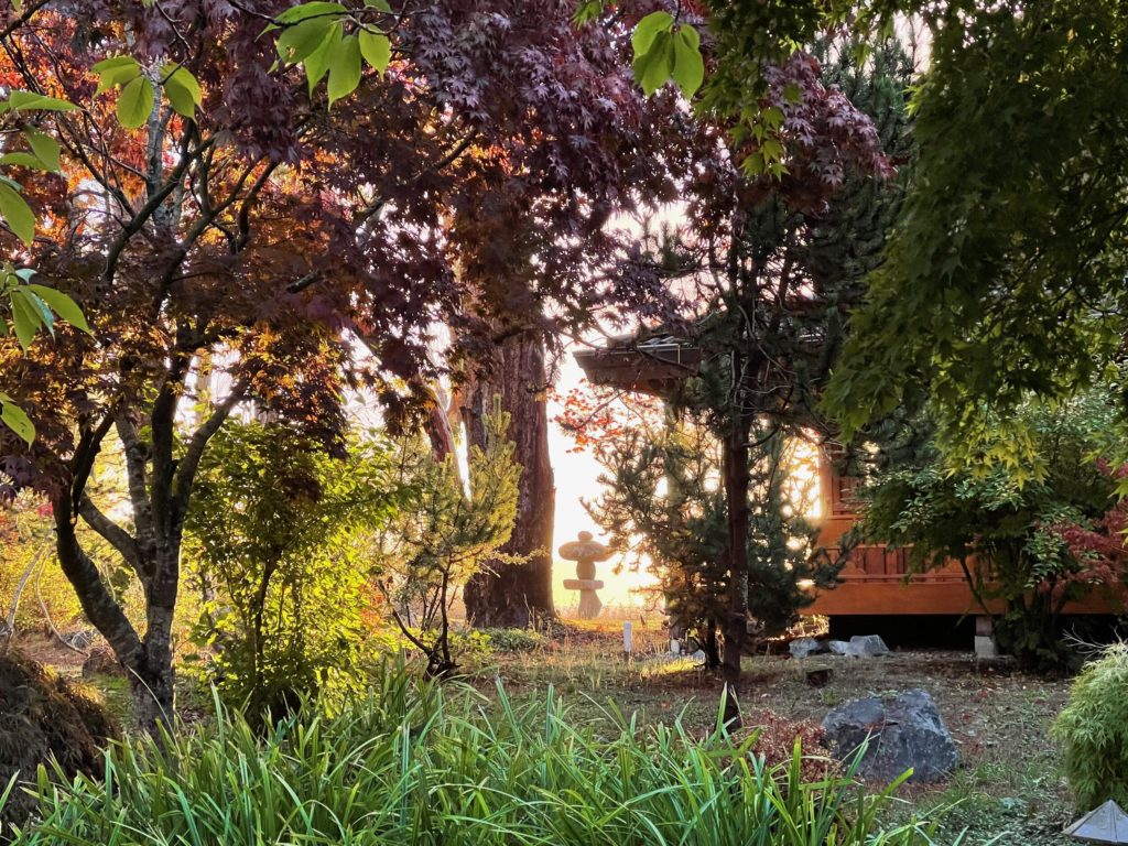 Shrine Garden